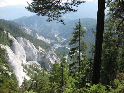 2009 2009 bildergalerie gal4 pic 2