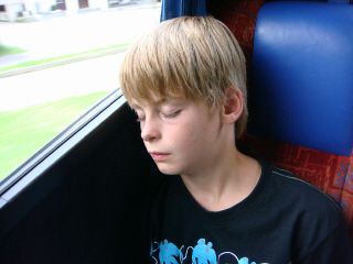 2008 2008 bildergalerie gal7 pic 8