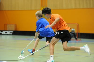 mi c 20240807222539 dsc